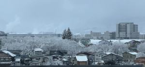 1764816941585 1764816941585