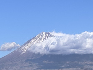 1764816941794 1764816941794