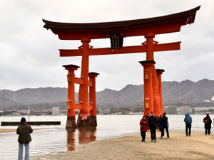 1764916584537 1764916584537