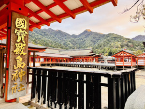 1764916584685 1764916584685