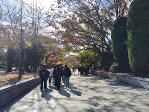 1764998942870 1764998942870