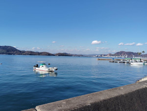 1764998943544 1764998943544