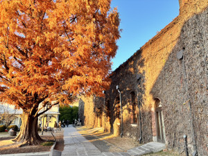 1765069184487 1765069184487