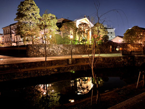 1765069184546 1765069184546