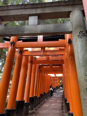 1765187305349 1765187305349