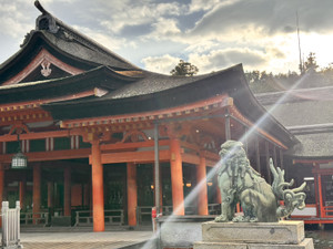 1765235678014 1765235678014