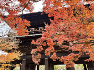 1765235691843 1765235691843