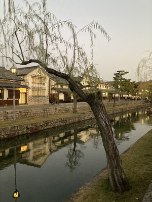 1765459821655 1765459821655