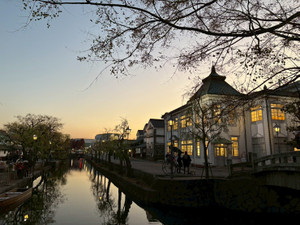 1765459821768 1765459821768