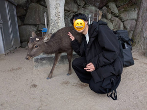 1765460166620 1765460166620